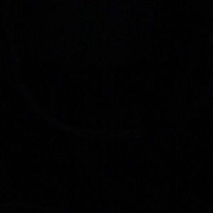 Meet your Posher, Lilly